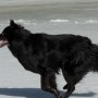 2011. Rajattu Jussi Murtosaaren ottamasta kuvasta