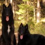11/2011, Tuukka ja Dina