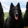 5/2012, veli Fritz (Mustantuulen Woodoo), isä Fred (Voo Doo's Lee) ja Tuukka
