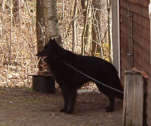 24.4.2005