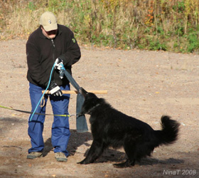 Olli 18.10.2008